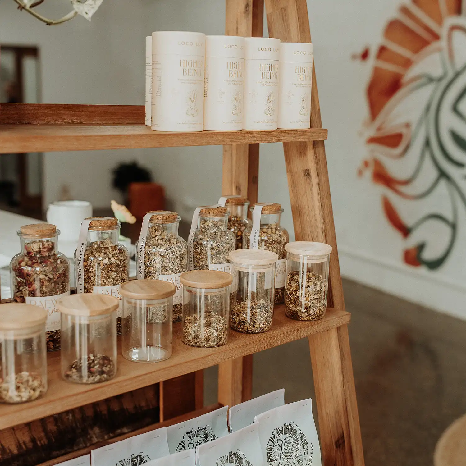 Spicy Lioness and Co - Creative studio space in Picton